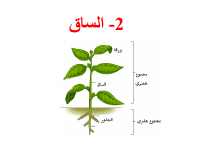 sec 2.pdf